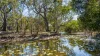 109 Lady Elliot Drive, Agnes Water QLD 4677-Image