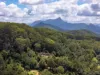 109 Motts Road, Upper Main Arm, NSW 2482-Image