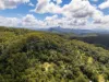 109 Motts Road, Upper Main Arm, NSW 2482-Image