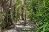109 Motts Road, Upper Main Arm, NSW 2482-Image