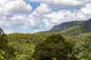 109 Motts Road, Upper Main Arm, NSW 2482-Image