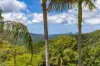 109 Motts Road, Upper Main Arm, NSW 2482-Image
