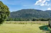 109 Murray Street, Tully, Qld 4854-Image
