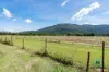 109 Murray Street, Tully, Qld 4854-Image