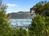 109 Prince Alfred Parade, Newport, NSW 2106-Image