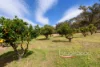 109 Refractory Road, Clackline, WA 6564-Image