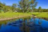 109 Rossmore Road, Kilkivan, Qld 4600-Image