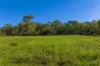 109 Rossmore Road, Kilkivan, Qld 4600-Image
