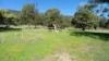 109 Union Bridge Rd, Mole Creek, Tas 7304-Image
