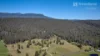 109 Union Bridge Rd, Mole Creek, Tas 7304-Image