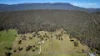109 Union Bridge Rd, Mole Creek, Tas 7304-Image