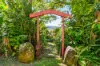109 Upper Wilsons Creek Road, Upper Wilsons Creek, NSW 2482-Image