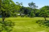 109 Upper Wilsons Creek Road, Upper Wilsons Creek, NSW 2482-Image