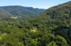 109 Upper Wilsons Creek Road, Upper Wilsons Creek, NSW 2482-Image