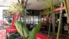 109 Welsh Street, Burpengary, Qld 4505-Image