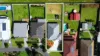 109 Whittaker Street, Flinders, NSW 2529-Image