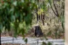 1095 Gill Street, Parkerville, WA 6081-Image