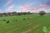 1098 Murphy Road, Koyuga, Vic 3622-Image