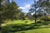 10A Back Forest Road, Back Forest, NSW 2535-Image