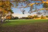 10A Mariner Street, Linden Park, SA 5065-Image