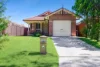 10A Peter Place, Bligh Park NSW 2756-Image
