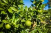 10B Elizabeth Parade, Tura Beach, NSW 2548-Image
