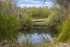 11-17 Nioka Place, Bell, NSW 2786-Image