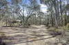 11-19 Callistemon Close, Junortoun, Vic 3551-Image
