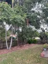 11/73 School Road, Kallangur, Qld 4503-Image