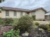 11 Alkira Place, Mildura, Vic 3500