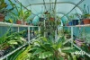 11 Amelia Drive, North Mackay, Qld 4740-Image