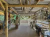 11 Ann Street, Coffs Harbour, NSW 2450-Image