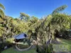 11 Apjohn Street, Horseshoe Bay, Qld 4819-Image