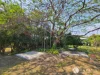 11 Arnold Street, Holland Park, Qld 4121-Image