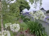 11 Baillieu Street, Rosebery, Tas 7470-Image