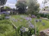 11 Baillieu Street, Rosebery, Tas 7470-Image