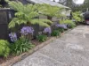 11 Baillieu Street, Rosebery, Tas 7470-Image