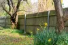 11 Banksia Street, Bowral, NSW 2576-Image