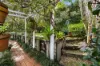 11 Bardon Esplanade, Bardon, Qld 4065-Image