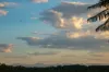 11 Barty Close, Brassall, Qld 4305-Image