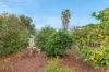 11 Beatrix Drive, Craigmore SA 5114-Image