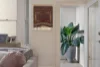 11 Bellevue Street, Glebe, NSW 2037-Image