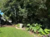 11 Bent Street, Bairnsdale, Vic 3875-Image