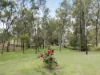 11 Bentley Drive, Regency Downs, Qld 4341-Image