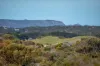 11 Beryl Court, Rye, Vic 3941-Image