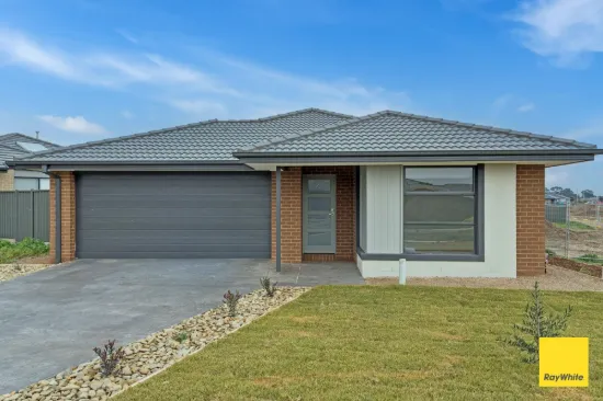11 Betoota Avenue, Huntly VIC 3551-Image