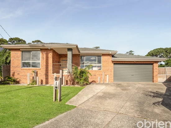 11 Better Boy Court, Skye, Vic 3977