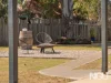 11 Birrell Street, Leichhardt, Qld 4305-Image