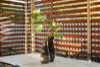11 Bloomfield Place, Carina, Qld 4152-Image