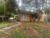 11 Bodley Street, Beaumaris, Vic 3193